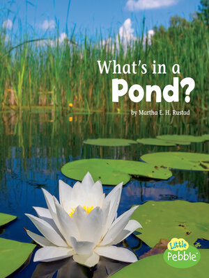 cover image of What's in a Pond?